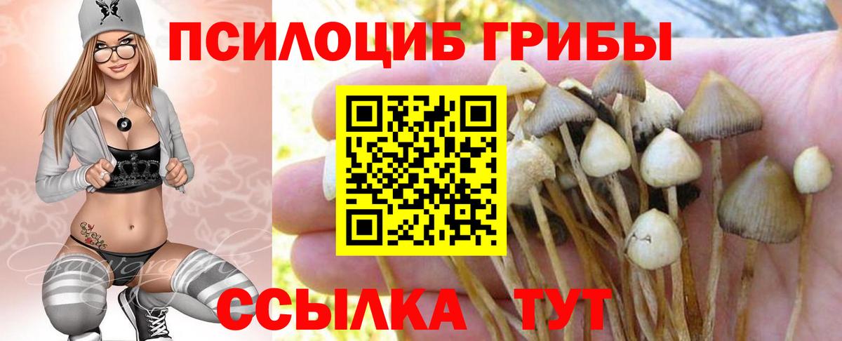 Псилоцибиновые грибы MAGIC MUSHROOMS  Вход с VPN  Спасск-Дальний 